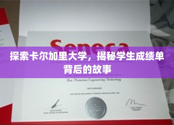 解码卡尔加里大学，揭开成绩单背后的精彩篇章