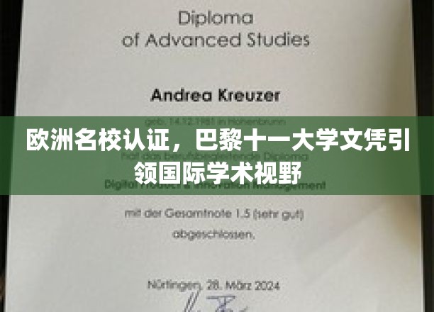 跨国教育通行证，巴黎十一大学文凭拓宽全球学术舞台