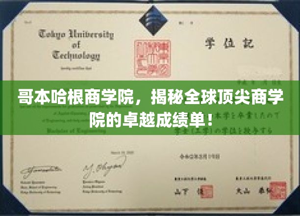 哥本哈根商学院，揭秘全球顶尖商学院的卓越成绩单！