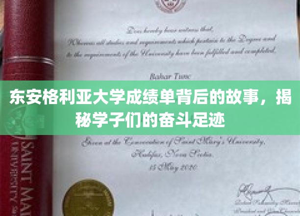 东安格利亚学子奋斗轨迹，揭秘成绩单背后的故事篇章