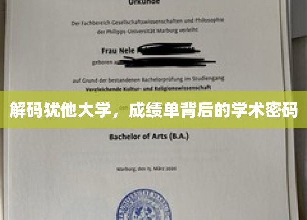 探寻犹他大学，成绩单背后的学术奥秘揭晓