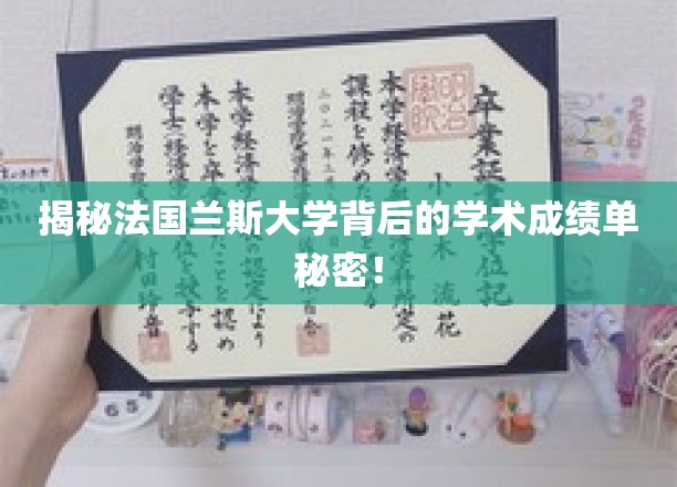 法国兰斯大学，揭秘隐藏的学术实力密码