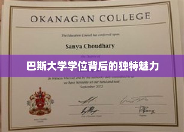 探寻巴斯大学学位的隐秘魅力与非凡价值