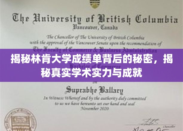 揭秘林肯大学成绩单的深层秘密，揭示其真实的学术实力与卓越成就
