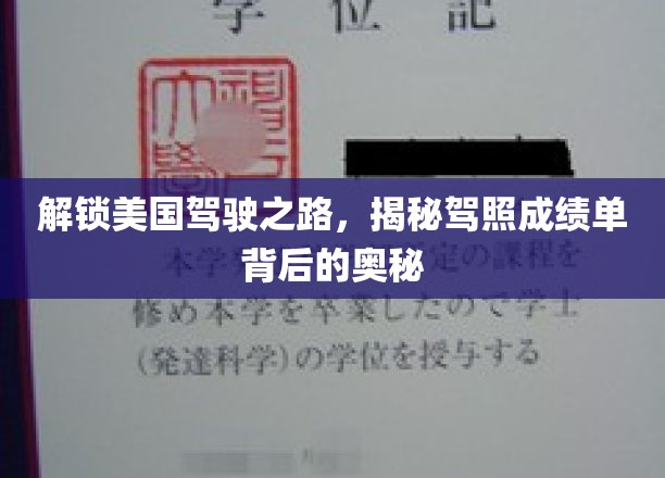 驾驭美国疆域，解码驾照成绩单的秘密通道