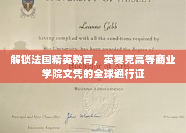 跨越国界的教育之选，英赛克商院文凭，国际职场通行证大揭秘