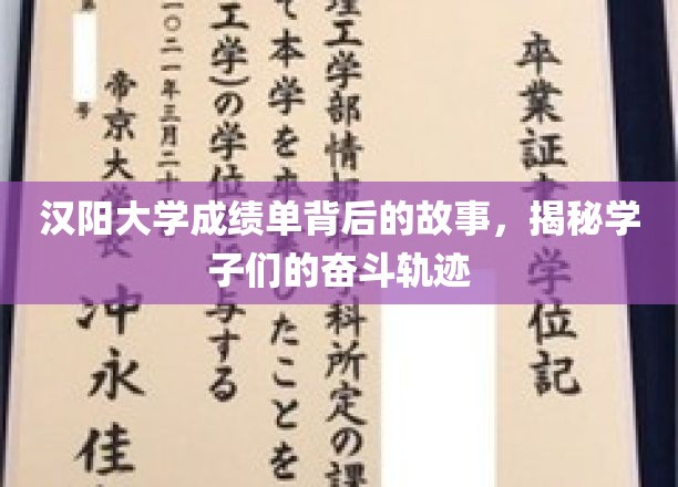 汉阳大学成绩单背后的青春足迹，学子们的奋斗画卷