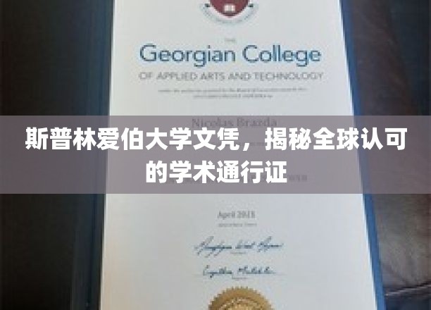 斯普林爱伯大学文凭，国际认可的学术护照，开启全球教育之旅