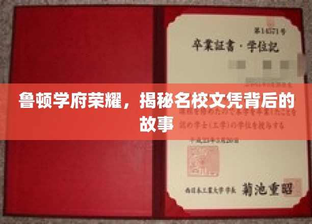 鲁顿学府风华录，探寻名校文凭背后的辉煌传奇