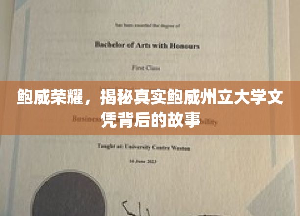 探寻鲍威荣耀，揭秘州立大学文凭背后的不凡历程