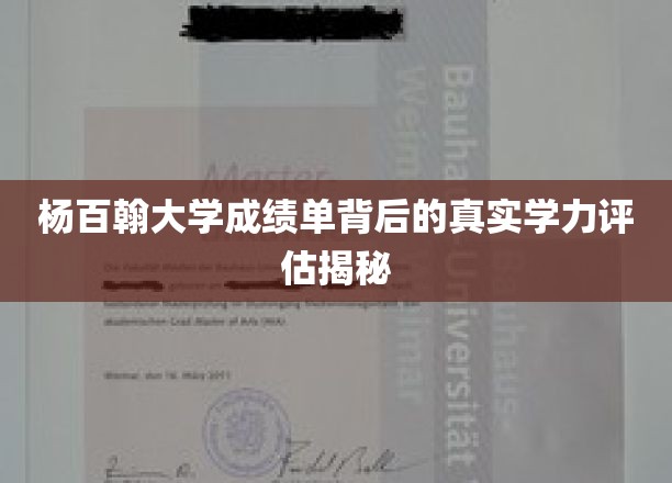 杨百翰大学成绩单背后的真实学力评估揭秘