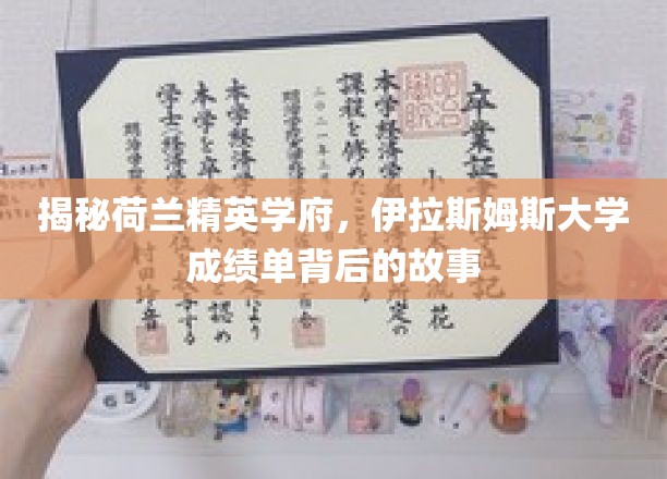 揭秘荷兰精英学府，伊拉斯姆斯大学成绩单背后的故事