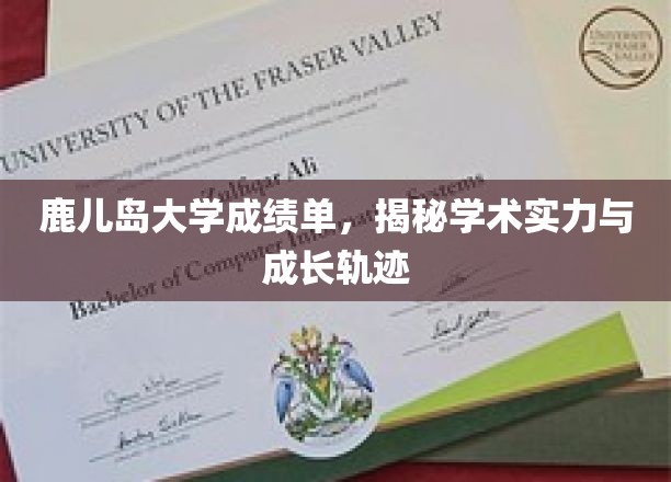 鹿儿岛大学成绩单，揭秘学术实力与成长轨迹