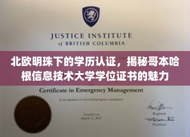 哥本哈根信息技术大学学位证书，北欧明珠中的学术瑰宝
