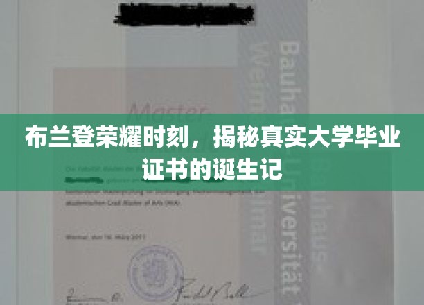 布兰登荣耀时刻，揭秘真实大学毕业证书的诞生记