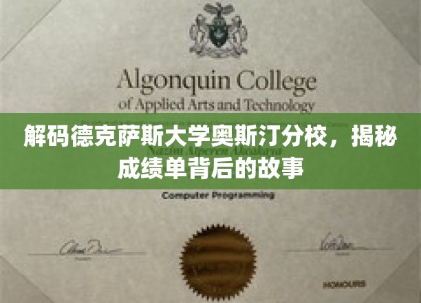 解码德克萨斯大学奥斯汀分校,揭秘成绩单背后的故事