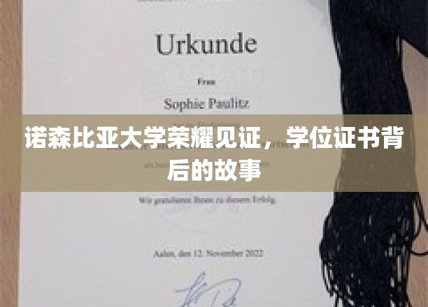 学位荣耀之光，诺森比亚大学见证学子证书背后的非凡历程