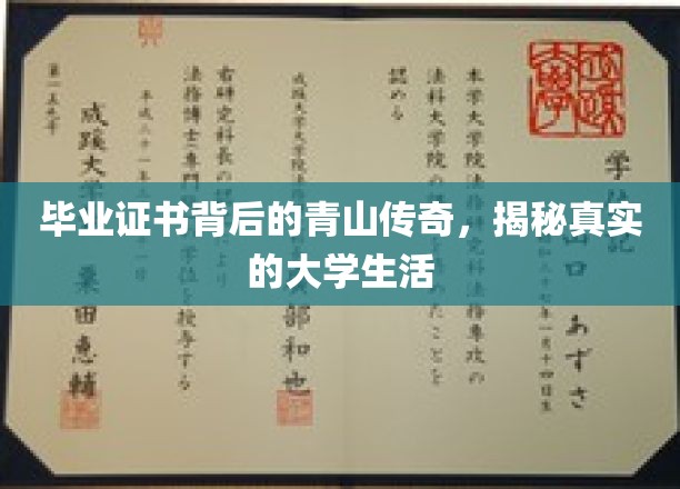 校园秘境，毕业证书背后的青春足迹与真实校园生活探秘