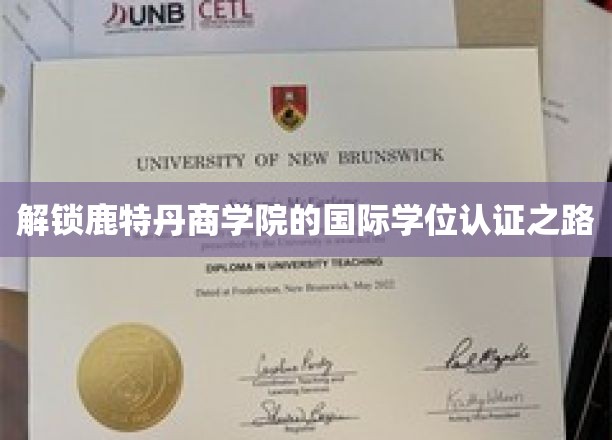 解锁鹿特丹商学院的国际学位认证之路
