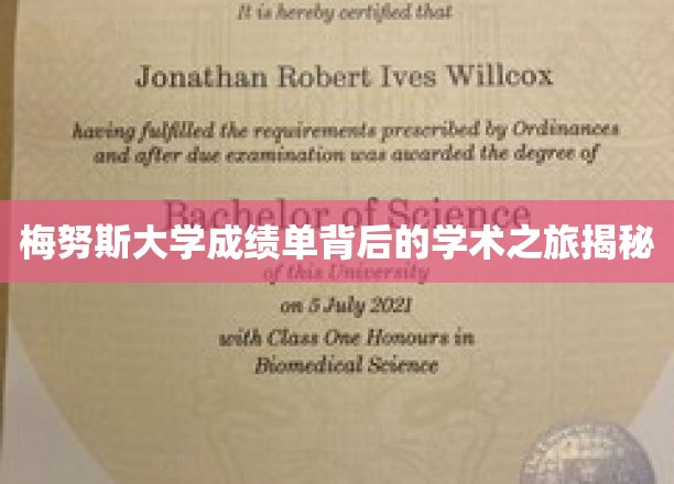 梅努斯大学成绩单：揭开学术之旅的神秘面纱
