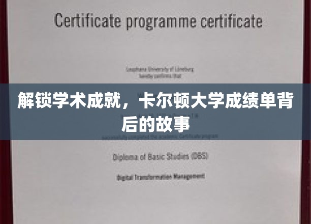 探索学术成就，卡尔顿大学成绩单背后的故事