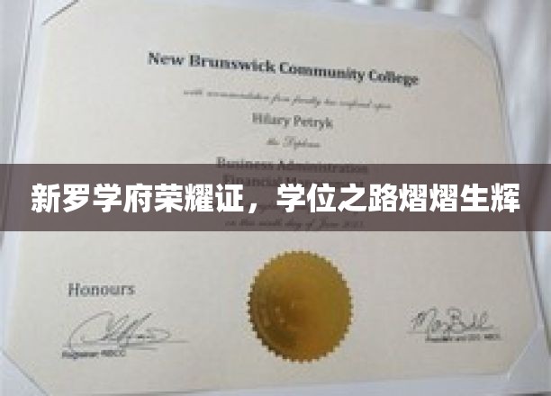 新罗学府璀璨奖牌，成就学子辉煌学位之旅