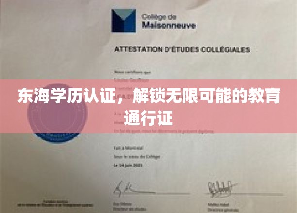 东海学历认证，开启无限可能的教育之门