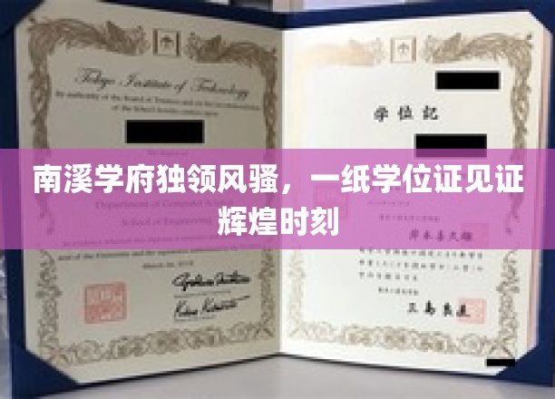 南溪学府荣耀启航，学位证书映照璀璨成就时刻