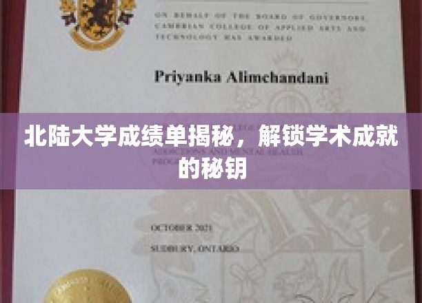 北陆大学成绩单解码，揭秘学生学术成就的秘密通道