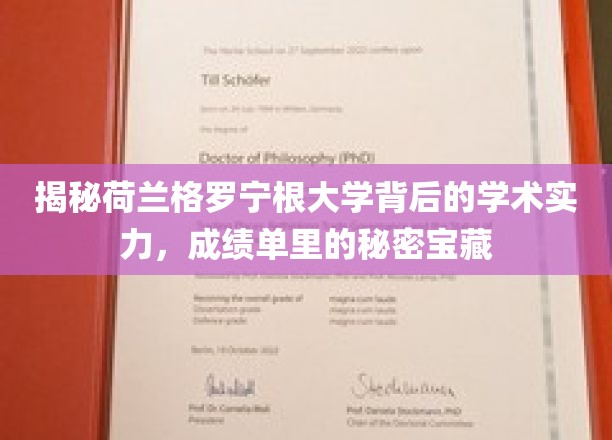 荷兰格罗宁根大学，探寻学术殿堂的卓越密码