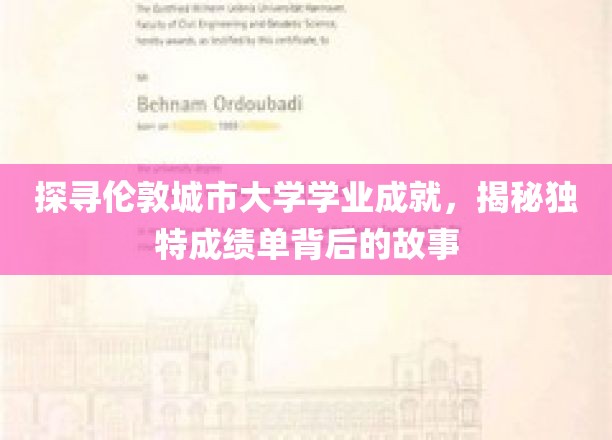 探寻伦敦城市大学学业成就，揭秘独特成绩单背后的故事