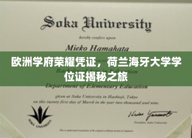 欧洲学府荣耀凭证，荷兰海牙大学学位证揭秘之旅