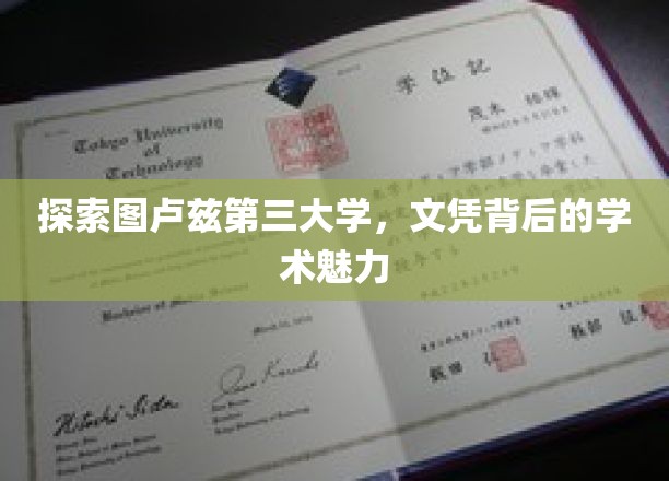 解锁图卢兹第三大学，探寻学术殿堂的文凭魅力