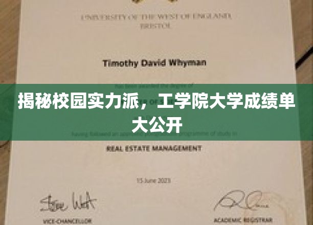 工学院学霸风云录，揭秘校园成绩单背后的实力派精英