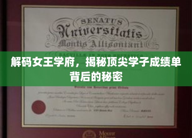 女王学府精英档案，揭秘学霸背后的神秘力量
