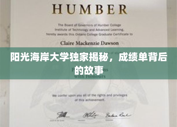阳光海岸大学独家揭秘，成绩单背后的故事