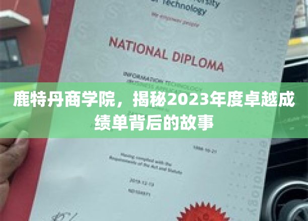 探寻鹿特丹商学院2023年辉煌成绩的幕后传奇