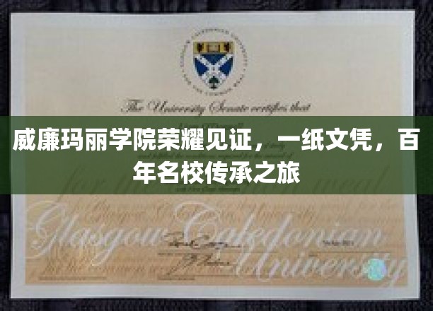 百年名校荣耀之旅，威廉玛丽学院，探索历史与现代交融的文凭传奇
