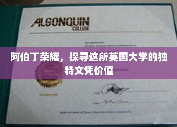 阿伯丁荣耀，探寻这所英国大学的独特文凭价值