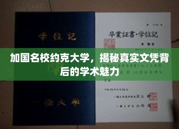 加国名校约克大学，揭秘真实文凭背后的学术魅力