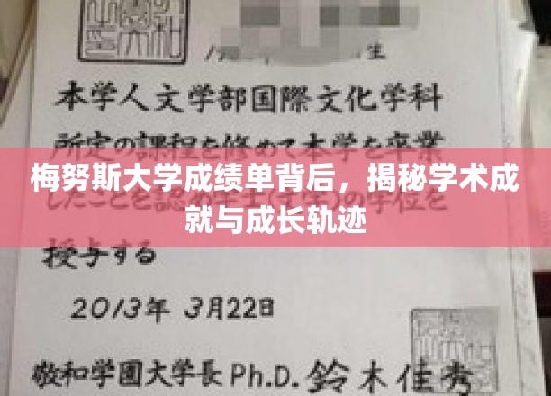 探寻梅努斯大学成绩单中的学术奥秘与个人成长之路