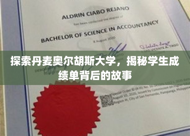 解锁奥尔胡斯大学神秘成绩单，揭秘学生背后的学术旅程