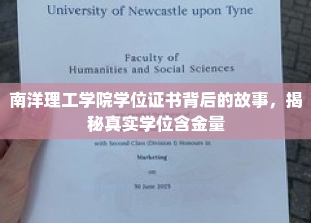 南洋理工文凭之谜，探究背后学位的真价值