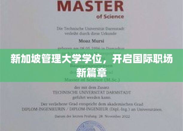 跨国职场新钥匙，新加坡管理大学学位引领未来职业发展