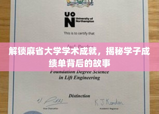 探寻麻省学子卓越成就之谜，揭秘学术殿堂中的青春传奇