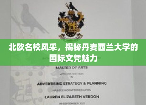 北欧名校风采，一探丹麦西兰大学的国际文凭魅力