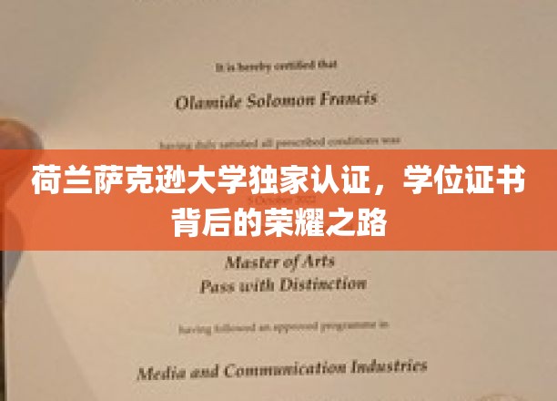 荷兰萨克逊大学荣耀见证，独家学位证书背后的辉煌历程