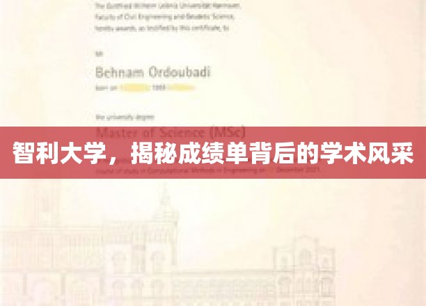 智利大学，揭秘成绩单背后的学术风采