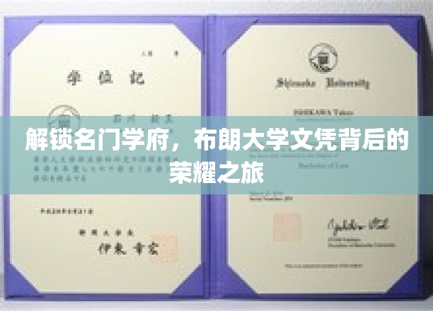 解锁名门学府，布朗大学文凭背后的荣耀之旅