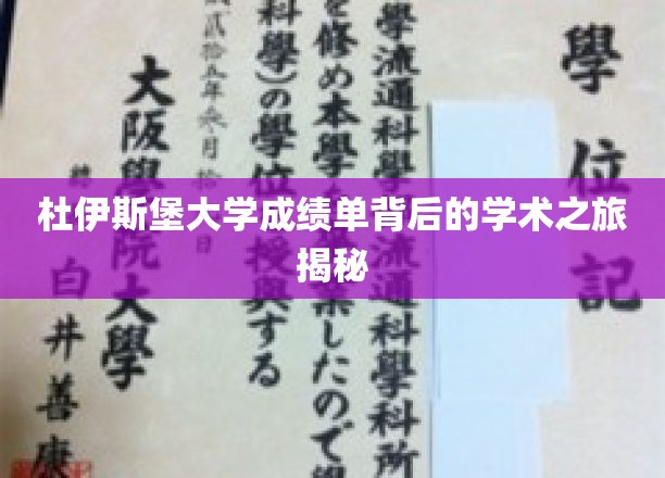 杜伊斯堡大学成绩单背后的精彩学术旅程大揭秘记